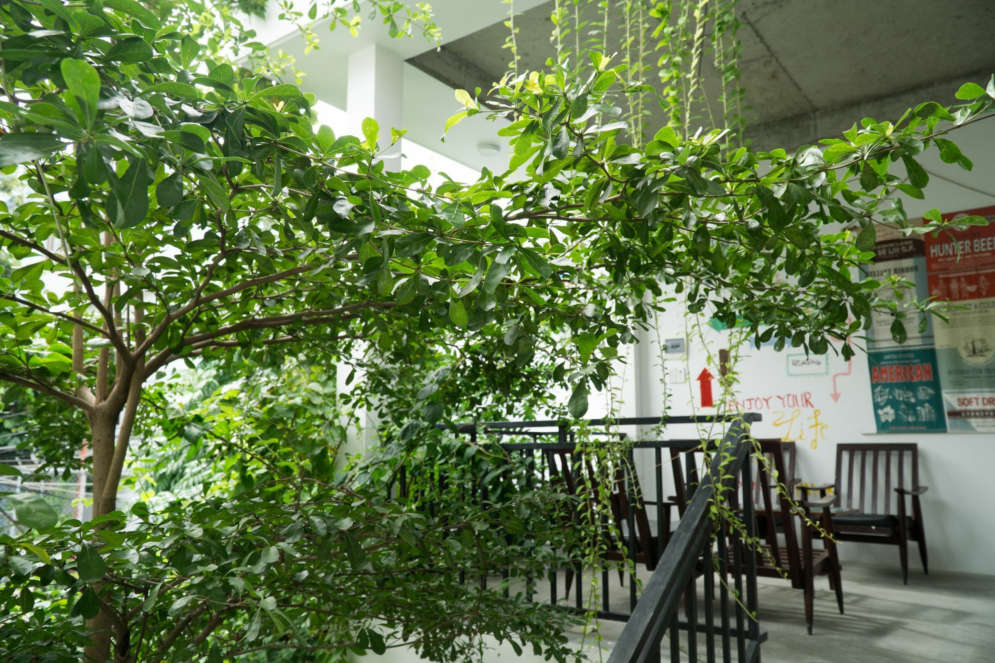 Kiu House - 3Br - Green & Artistic Дананг Экстерьер фото