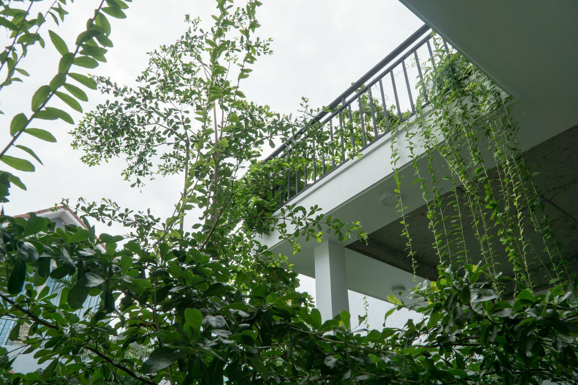 Kiu House - 3Br - Green & Artistic Дананг Экстерьер фото